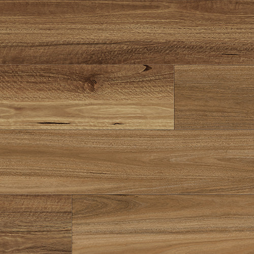 NSW Spotted Gum | 7116