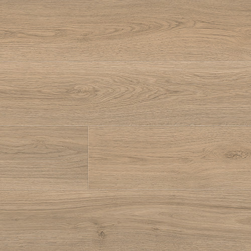 Sandy Clay | 7164