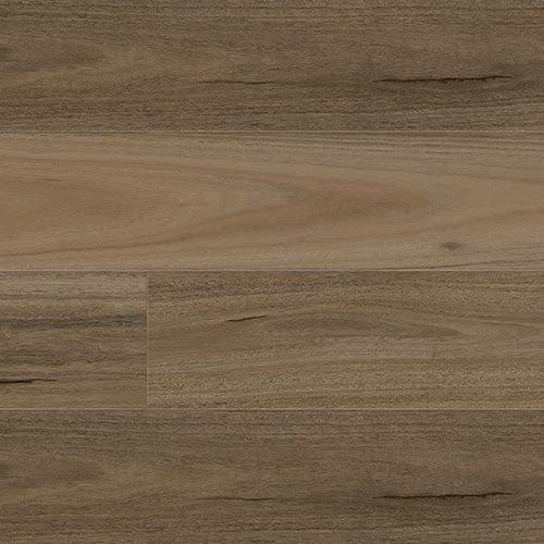 Country Spotted Gum | 7168