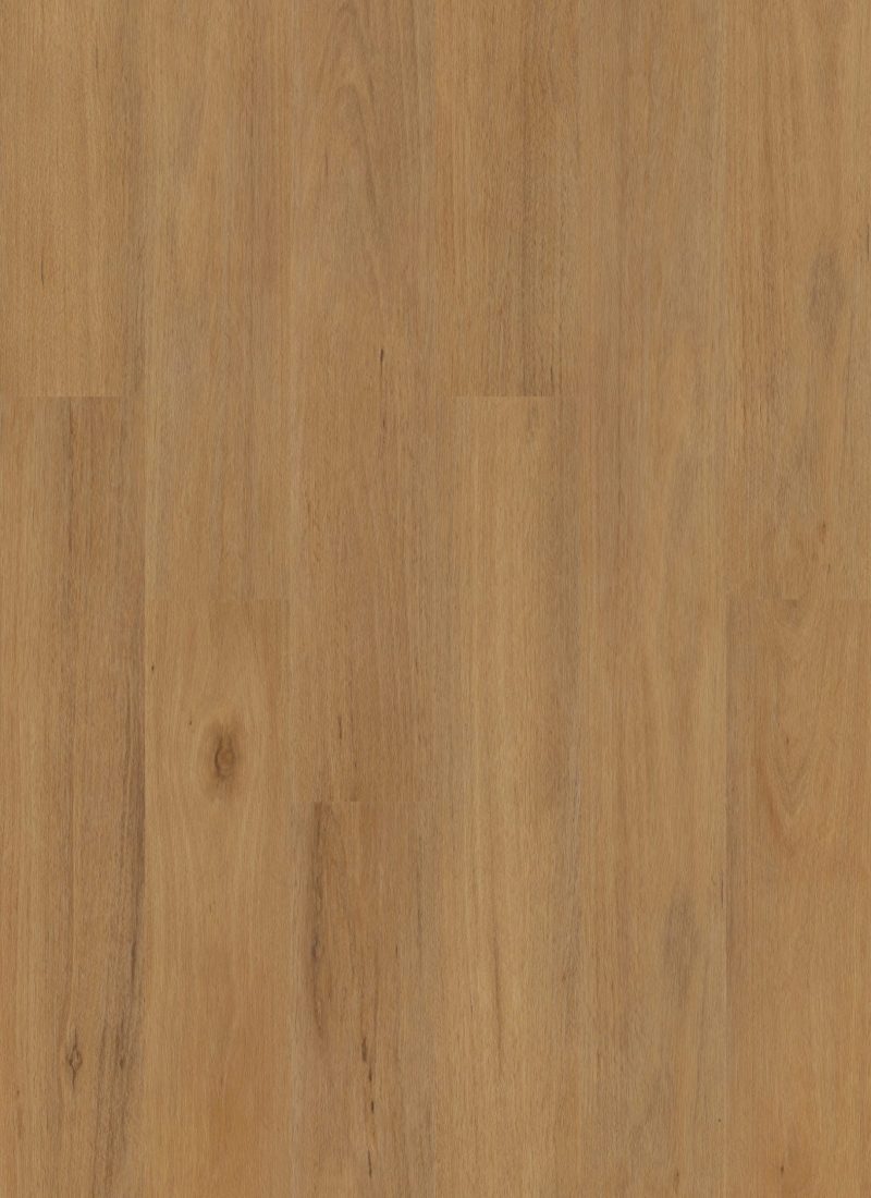 10 Northern Blackbutt 9mm
