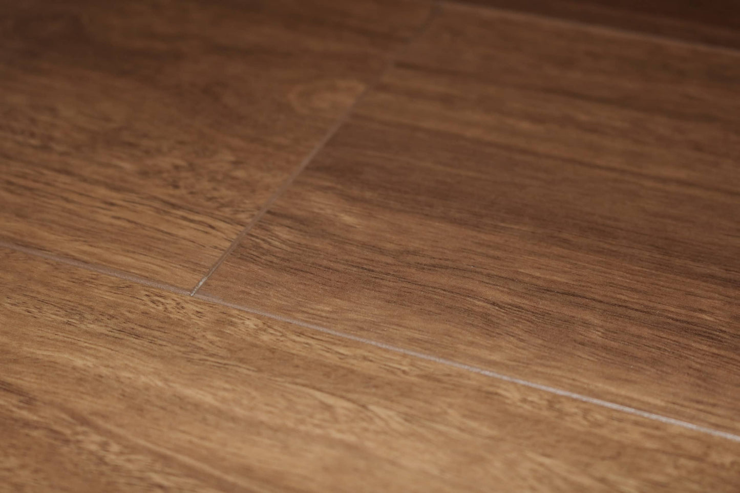 C 16 SPOTTED GUM
