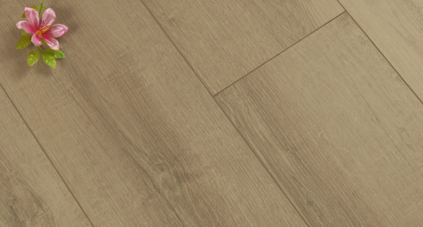 Platinum Cream IWR04
