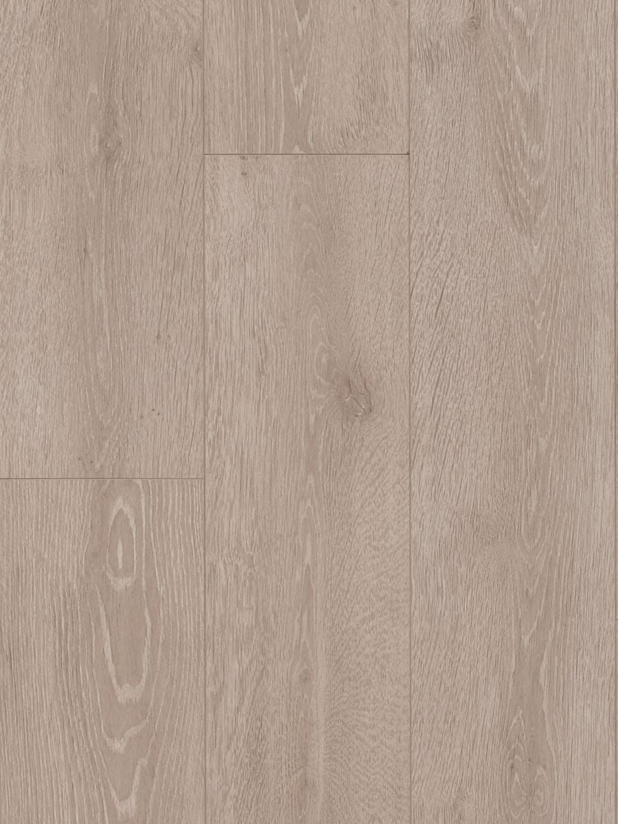 Grey Oak(MTFA102)