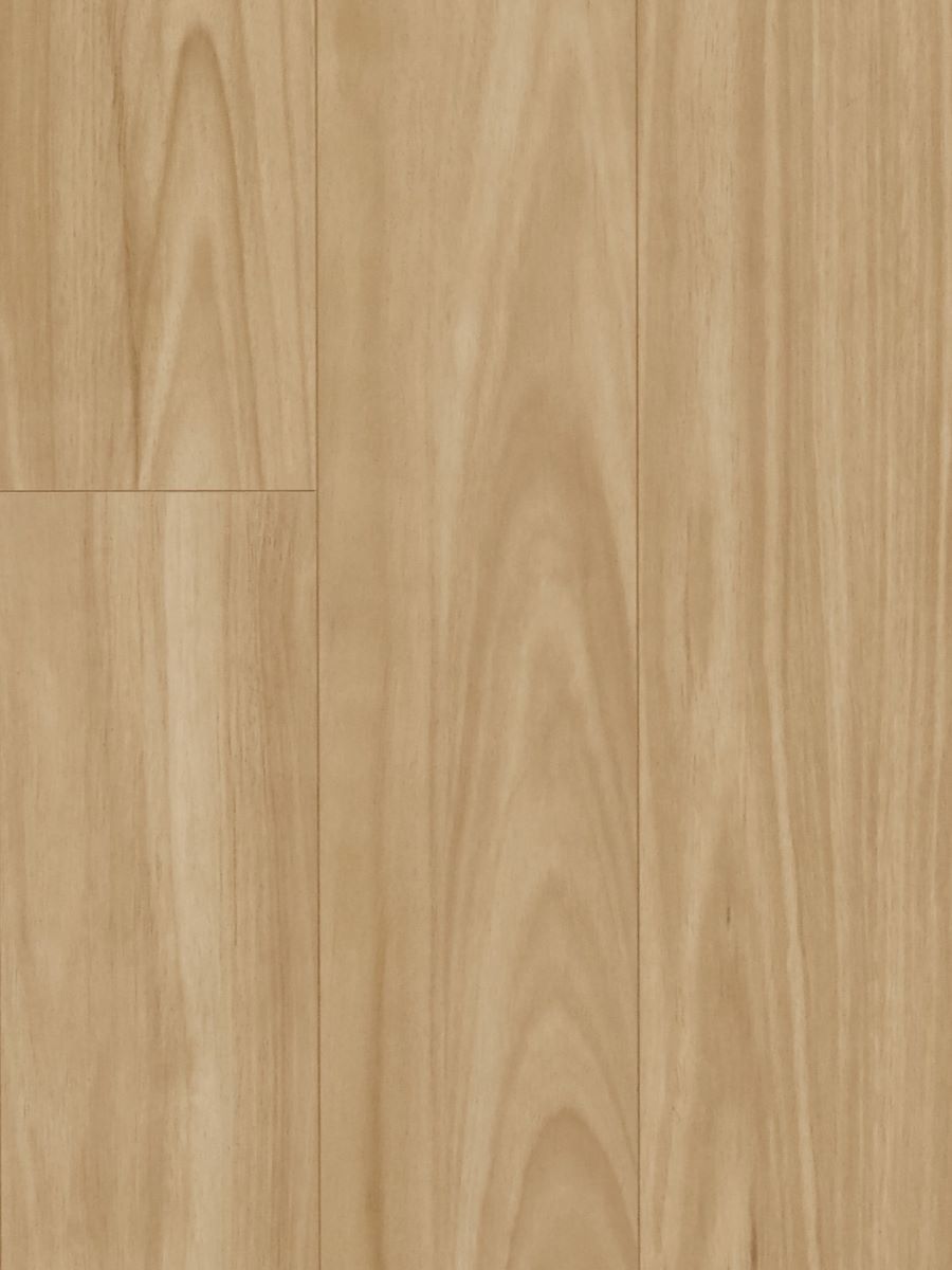 Blackbutt(MTFA110)