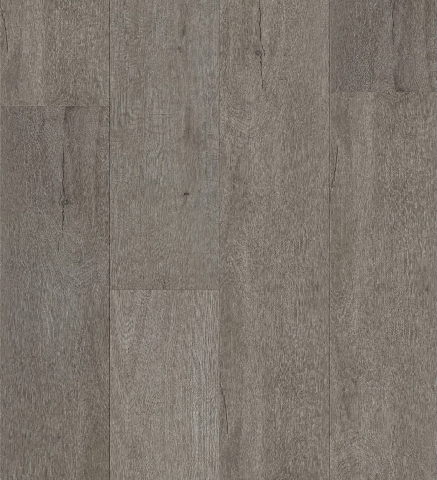 W3109 – Ellie Grey
