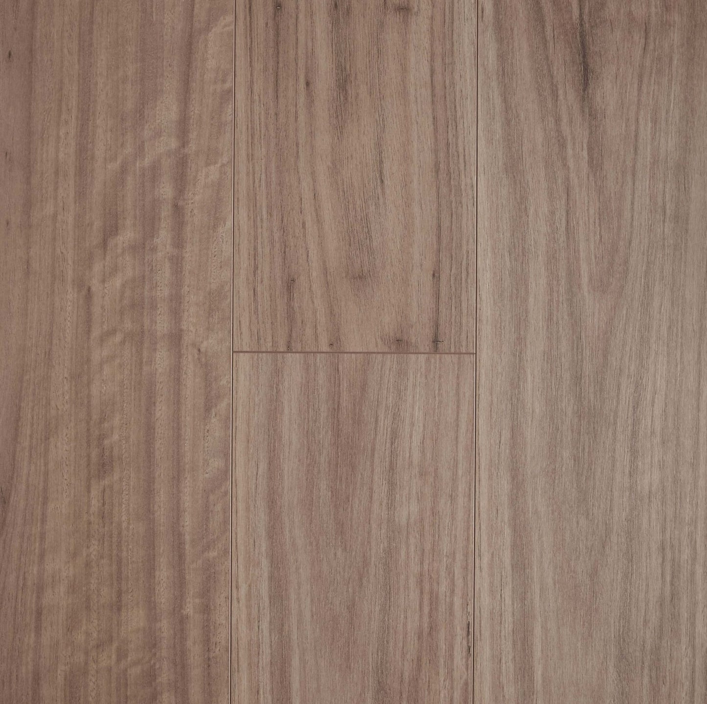 Blackbutt