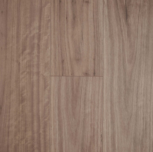 Blackbutt
