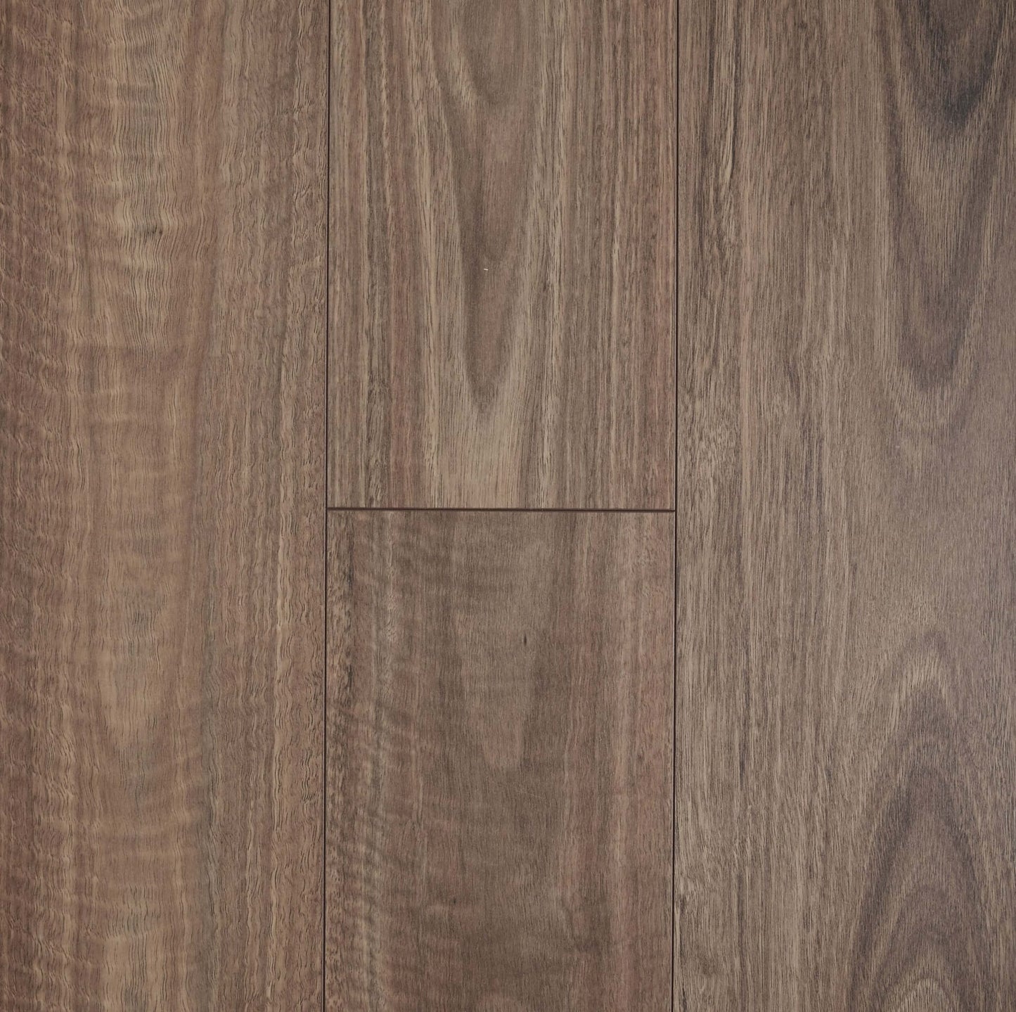 Spotted Gum
