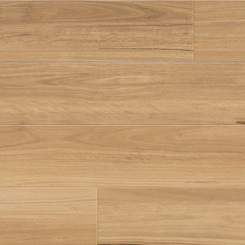 Coastal Blackbutt | 7115