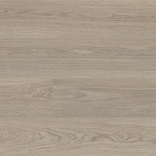 Portabella | 7160