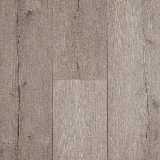 Lugano Oak