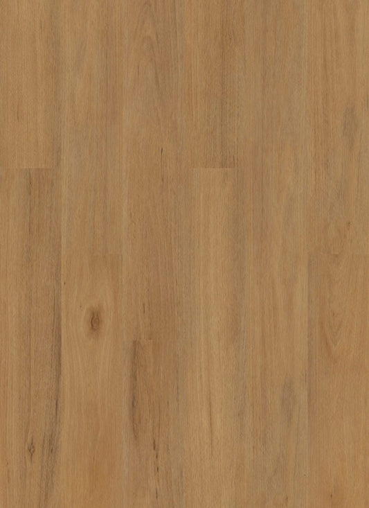 10 Northern Blackbutt 9mm