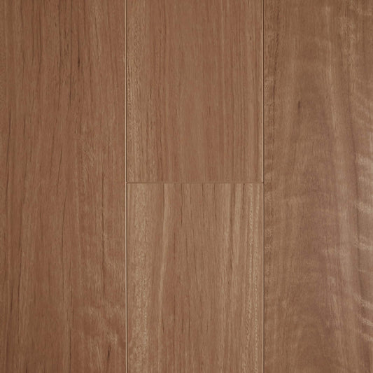Aged Blackbutt
