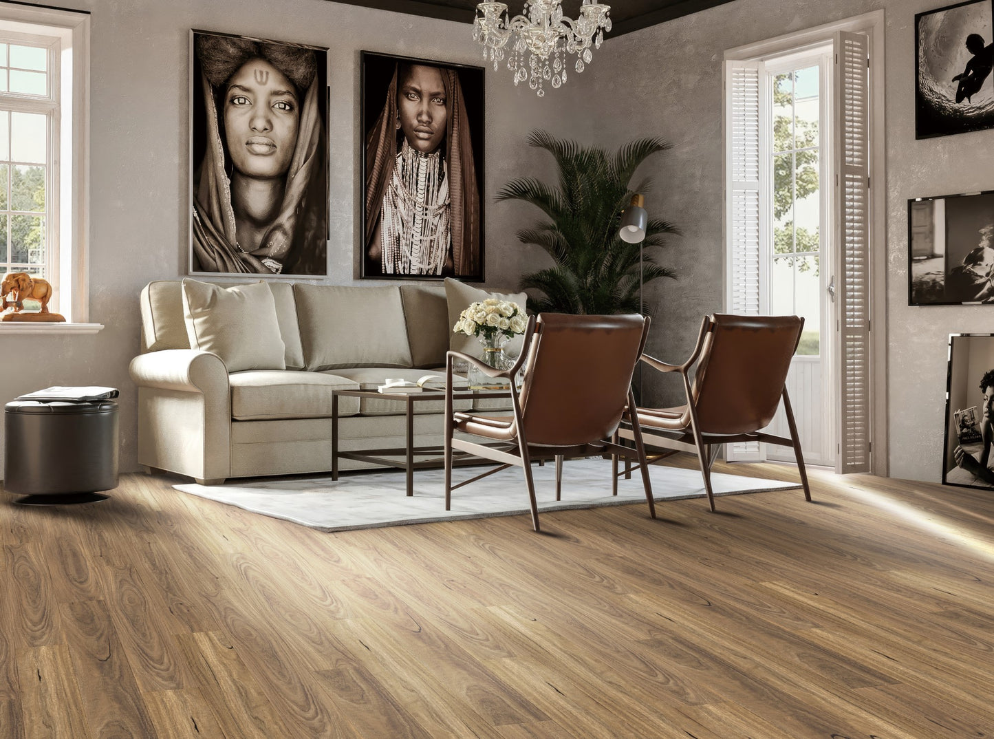 Spotted Gum(WF08)