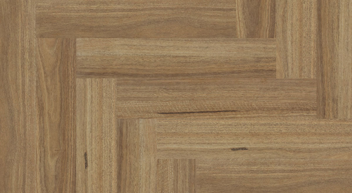 Atlantic Spotted Gum