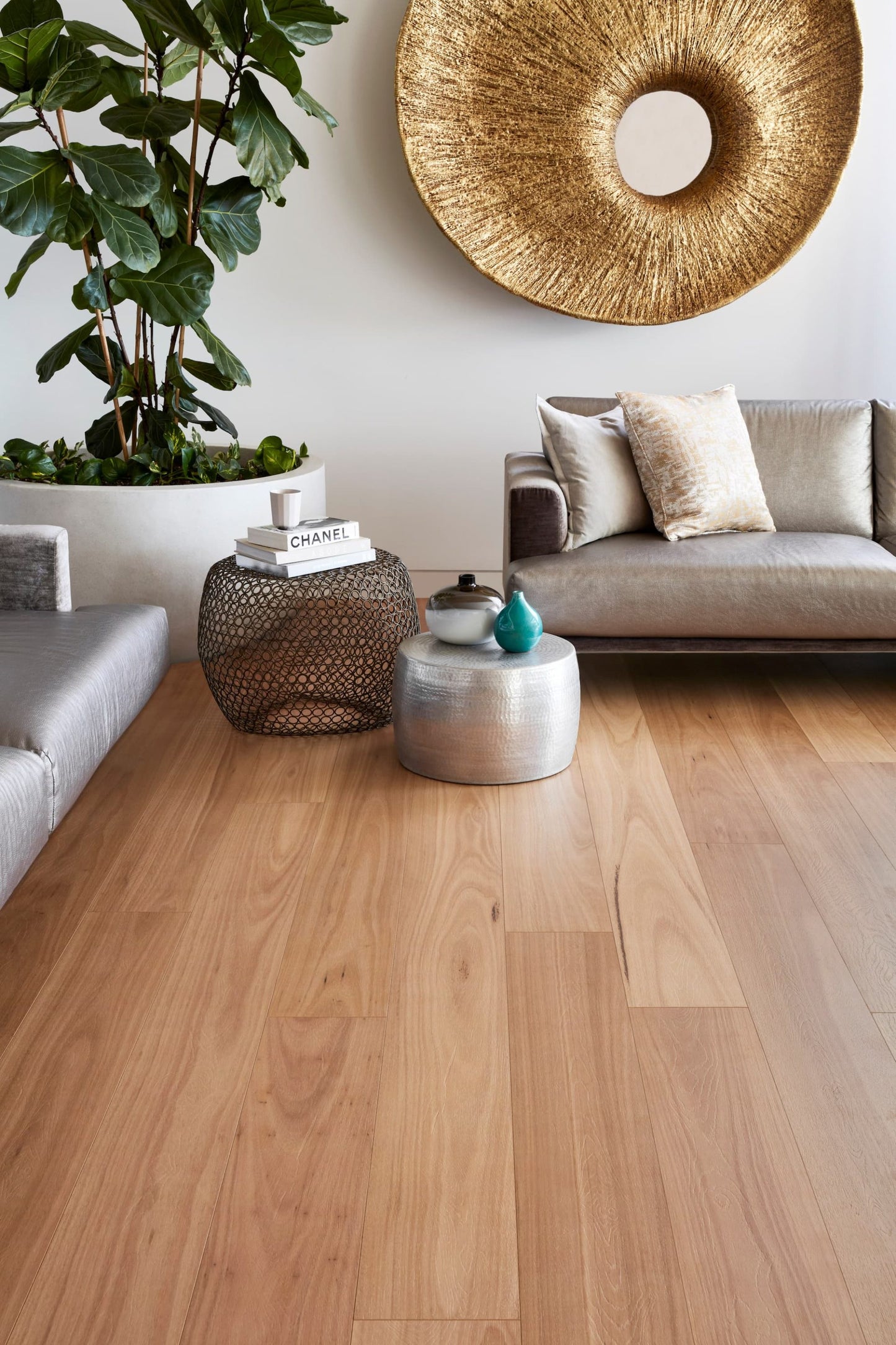Blackbutt