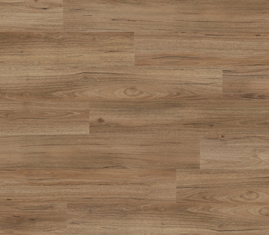 Coastal Spotted Gum Super 95