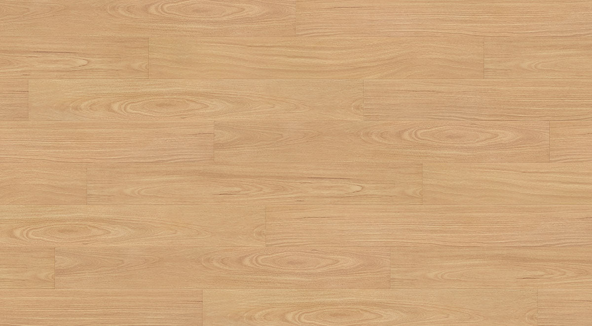 Crimson Ruby Blackbutt