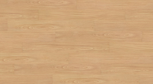 Crimson Ruby Blackbutt