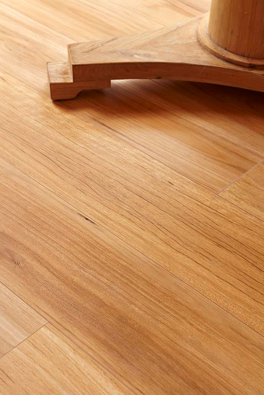Blackbutt