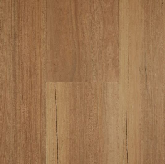 Classic Spotted Gum