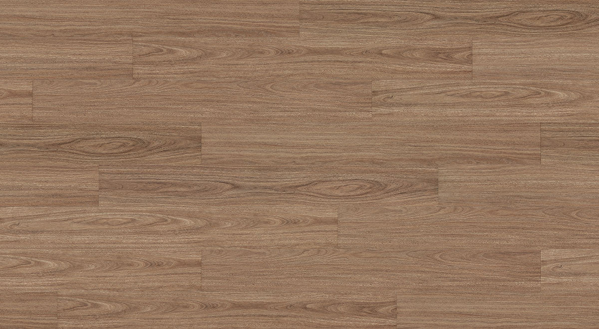 Golden Sapphire Spotted Gum