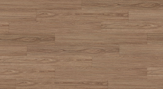 Golden Sapphire Spotted Gum