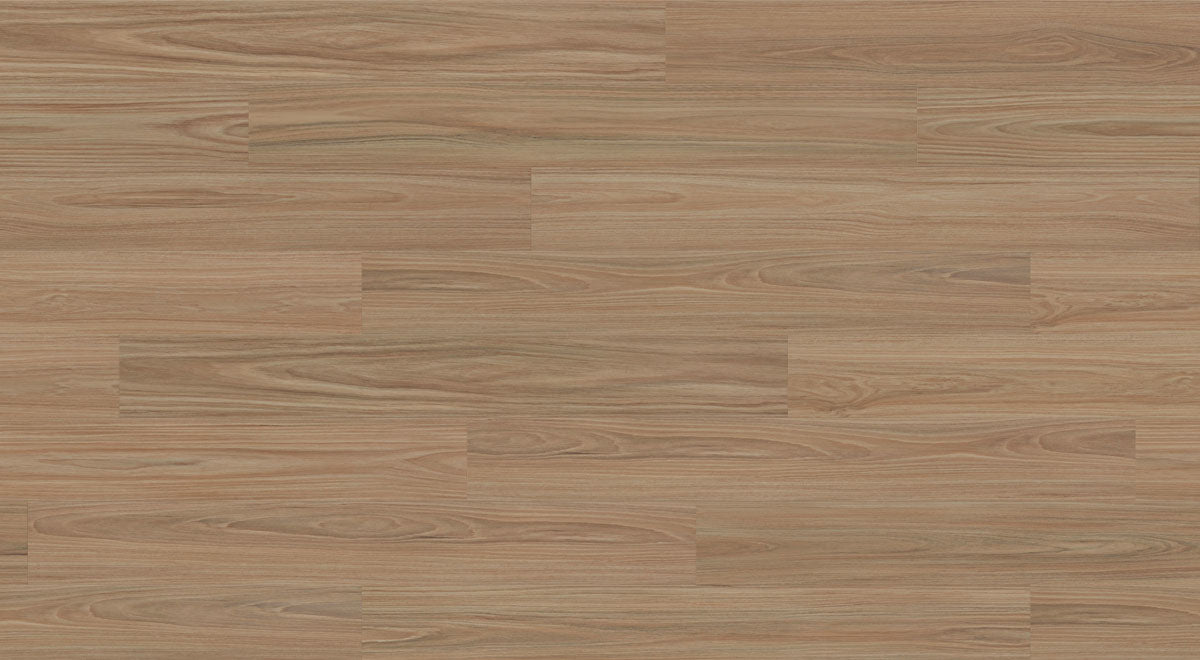 Greenfield Blackbutt