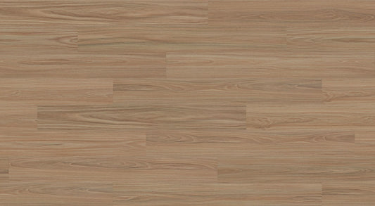 Greenfield Blackbutt