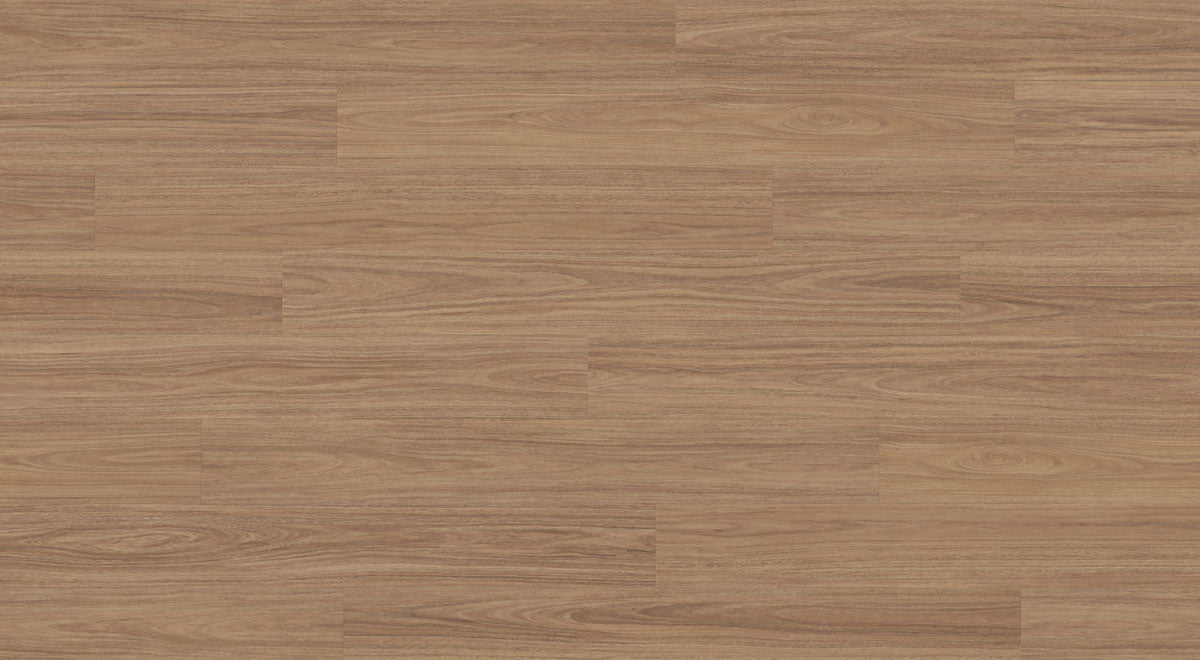 Greenfield Spotted Gum