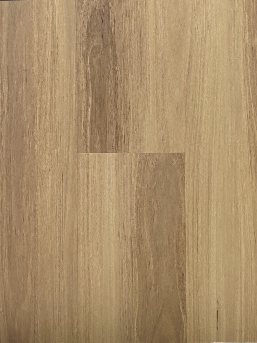 Blackbutt(D3001)