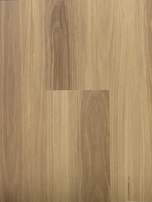Blackbutt(D3001)