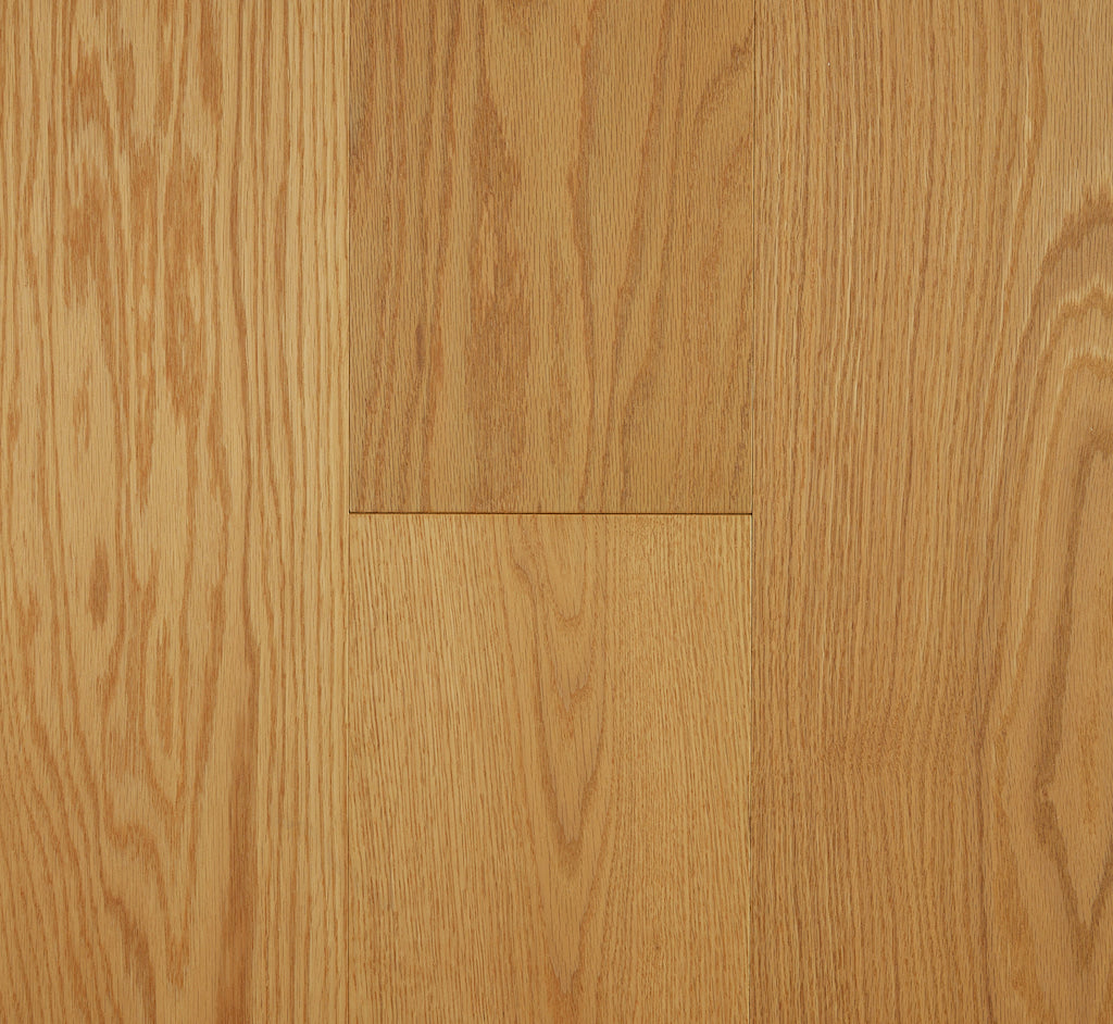Forest Oak