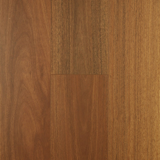Spotted Gum