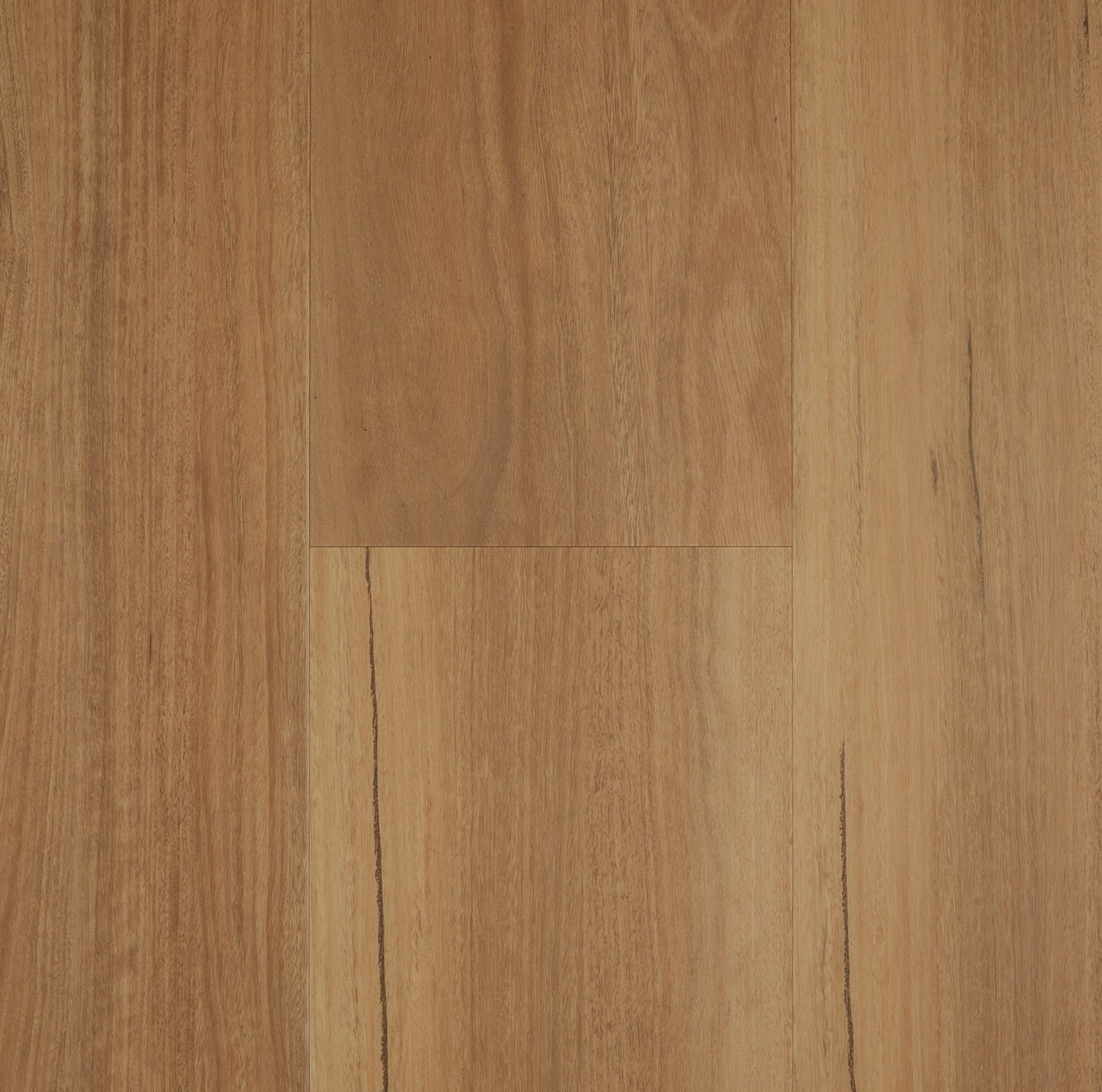 Spotted Gum