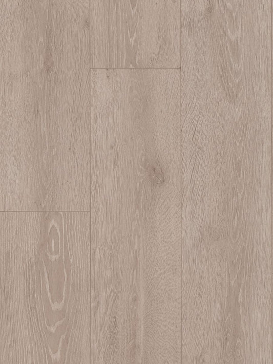 Grey Oak(MTFA102)