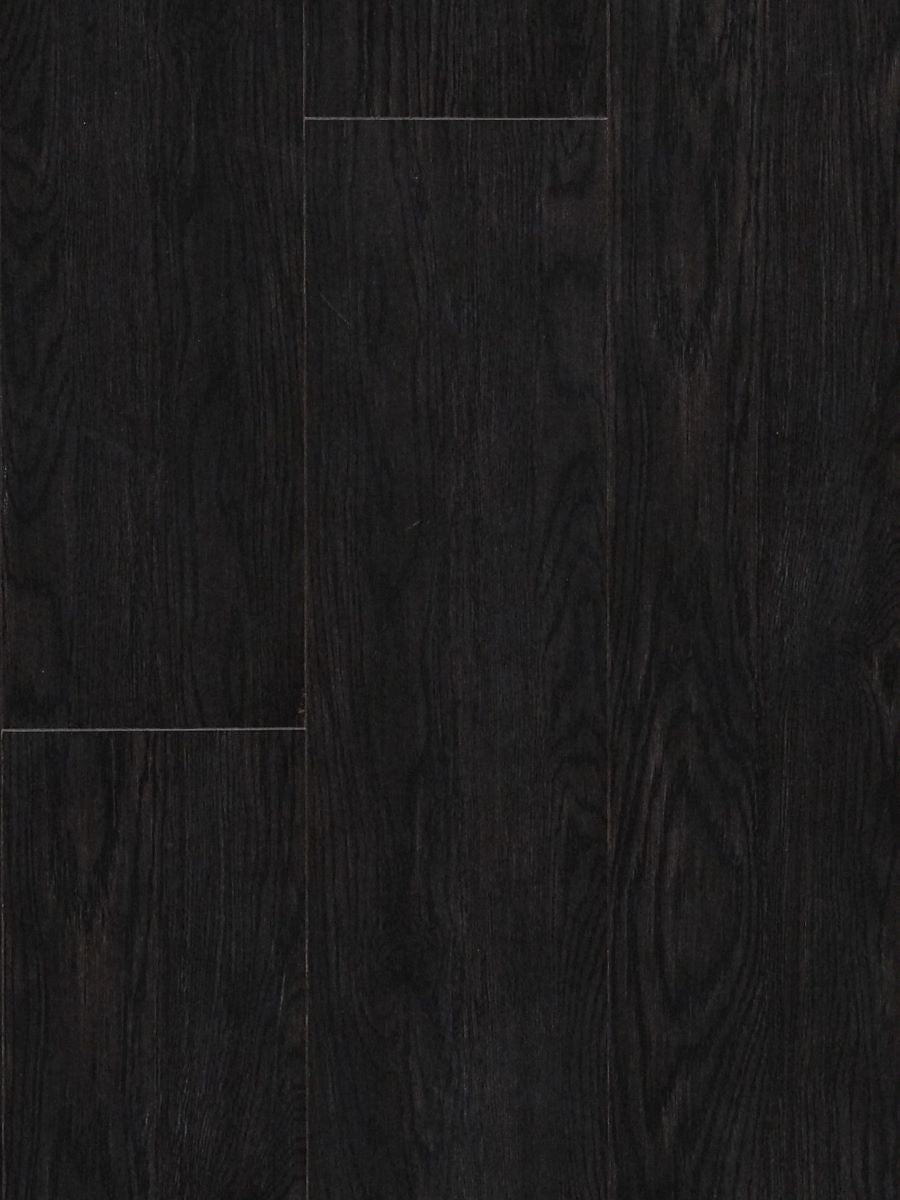 Forest Black Oak(MTFA113)