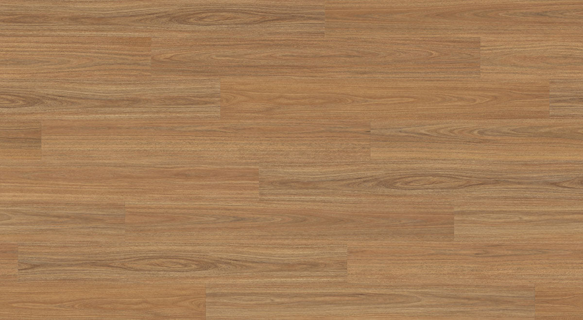 Mosswood Spotted Gum