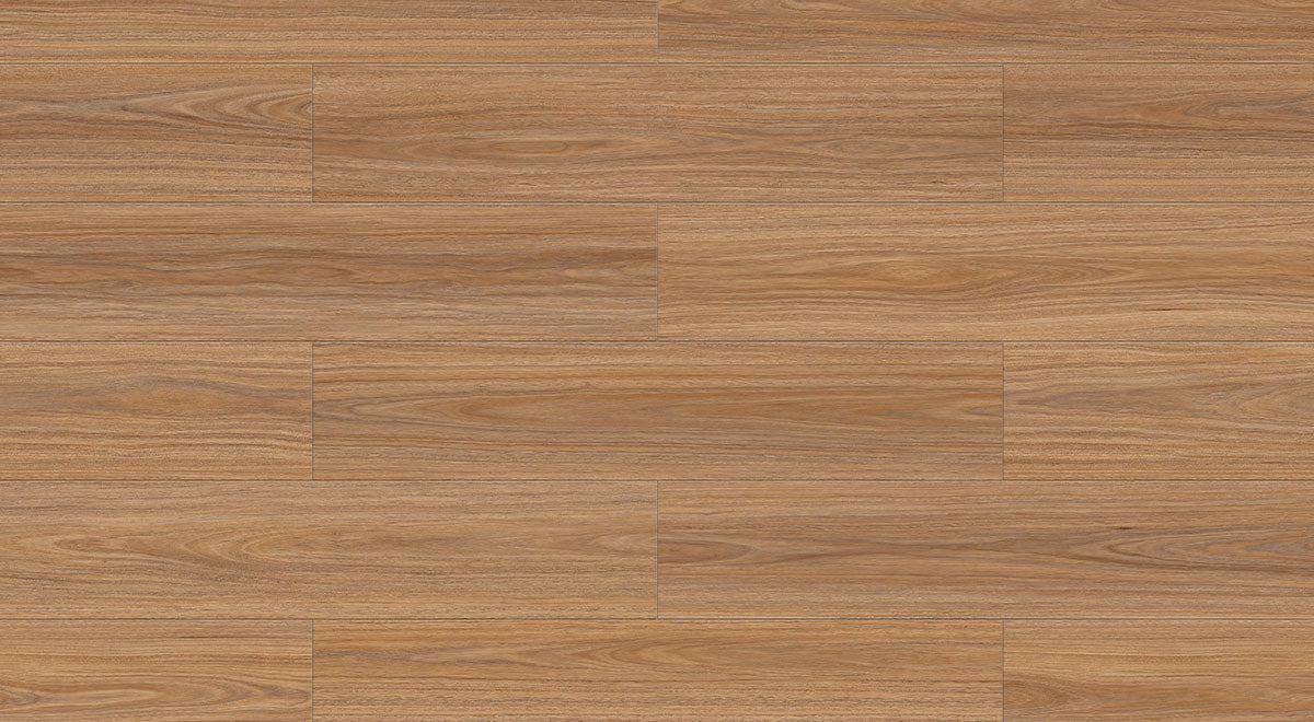 Vivid Spotted Gum