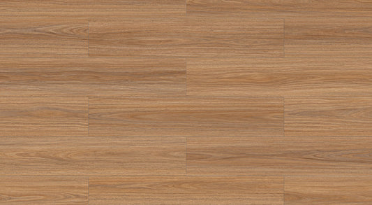 Vivid Spotted Gum