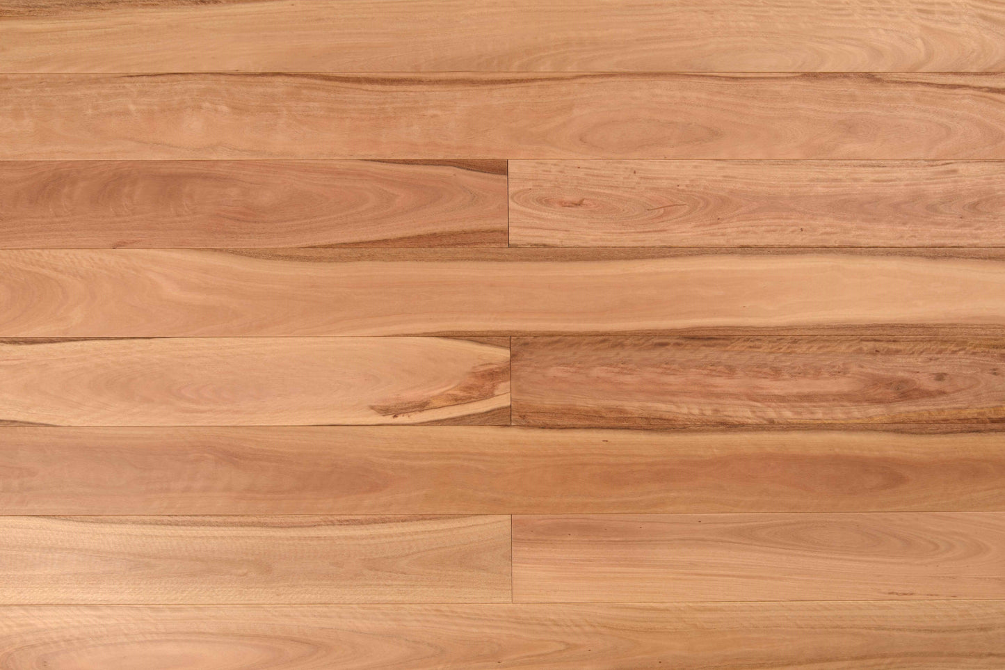 PACIFIC BLACKBUTT (NON-AUSTRALIAN SPECIES)