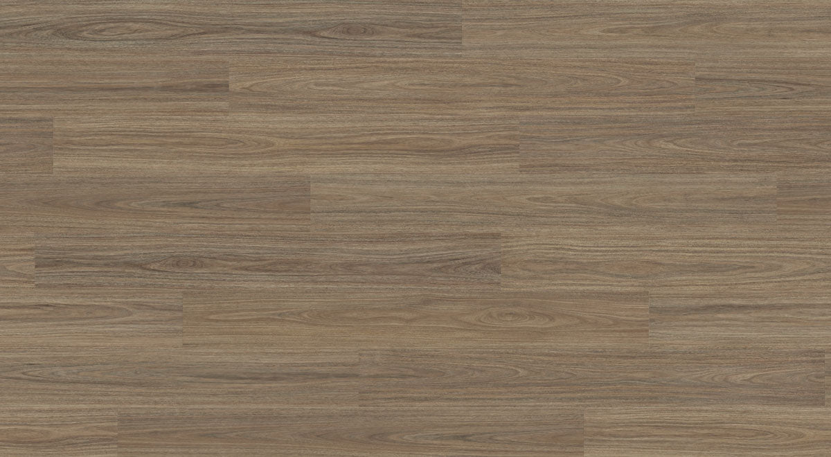 Palmcove Spotted Gum