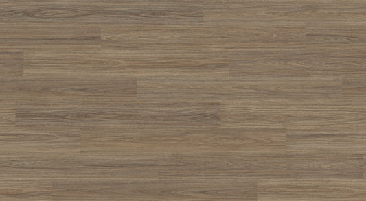 Palmcove Spotted Gum