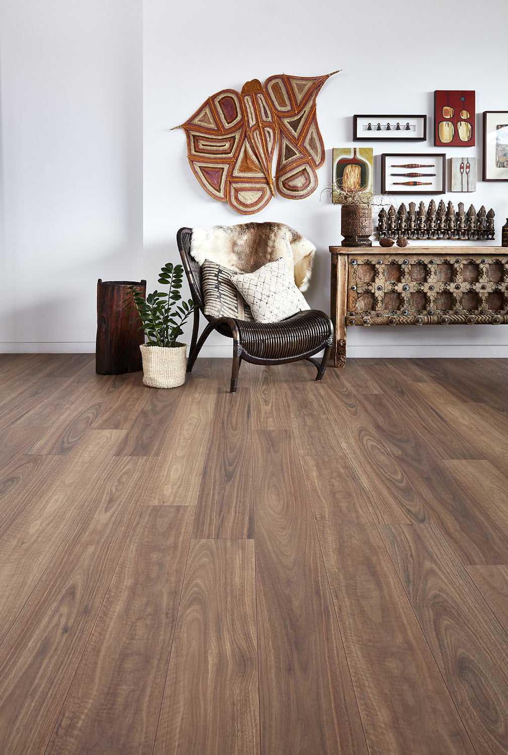 Spotted Gum