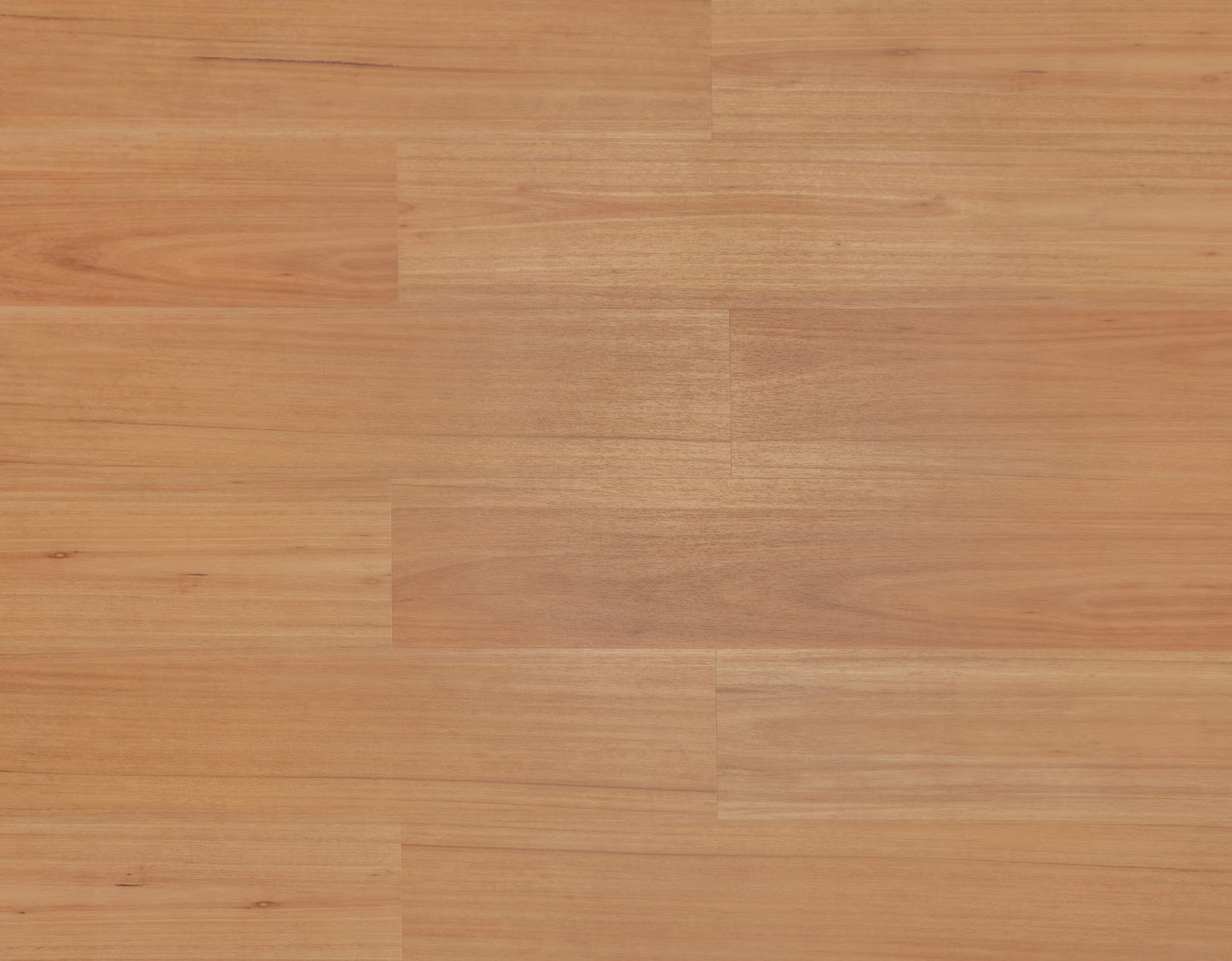 Radiant Blackbutt 825