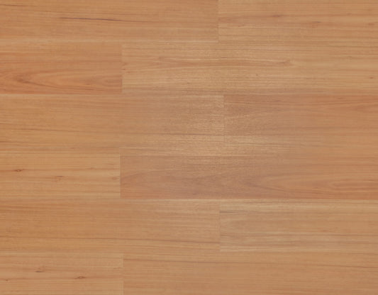 Radiant Blackbutt 825