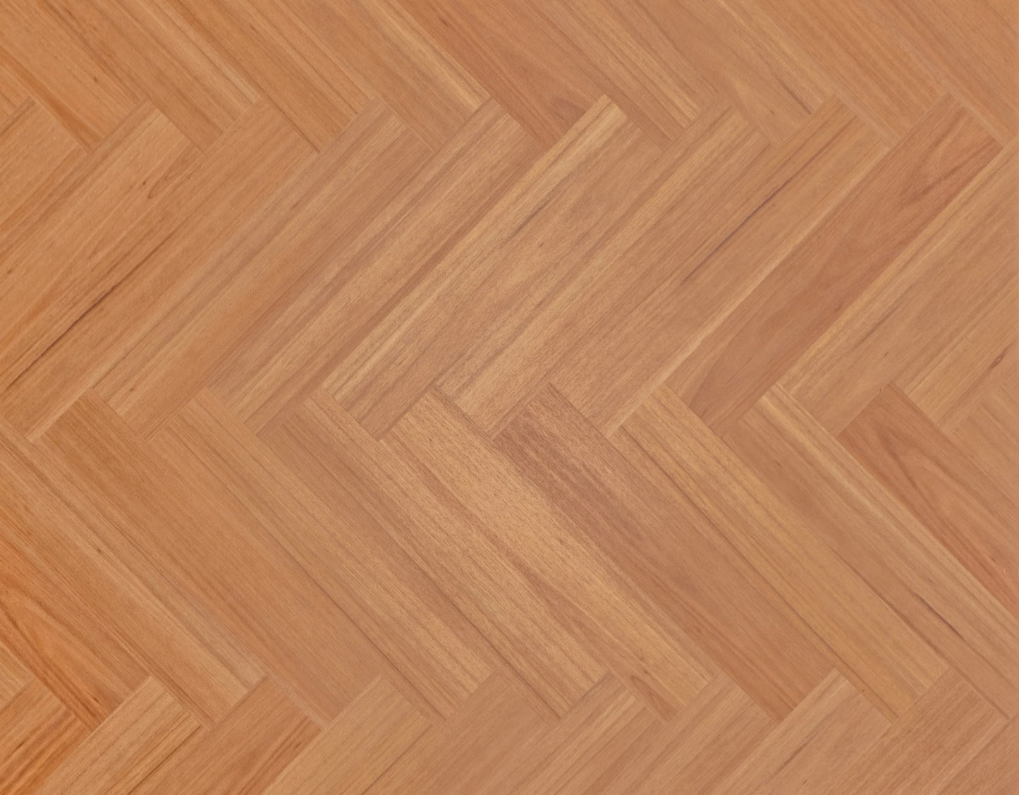 Radiant Blackbutt