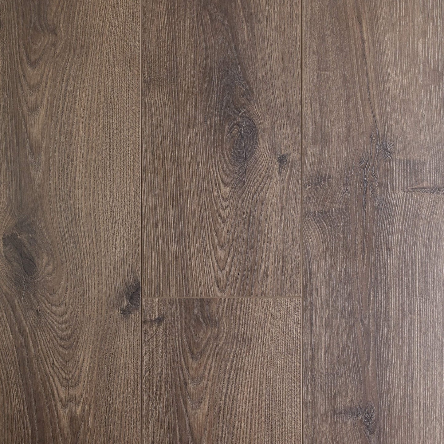 Tawny Oak