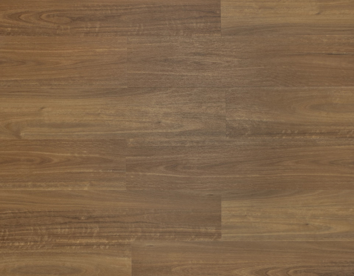 Vesper Spotted Gum 826