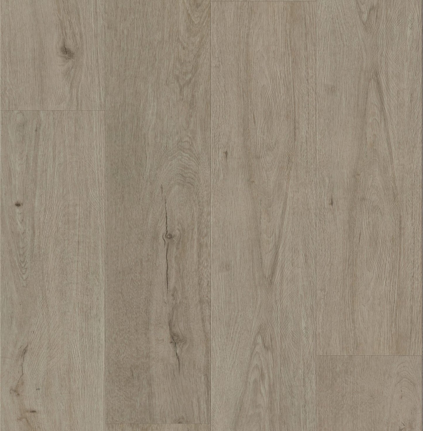 W3103 – Wonderwood
